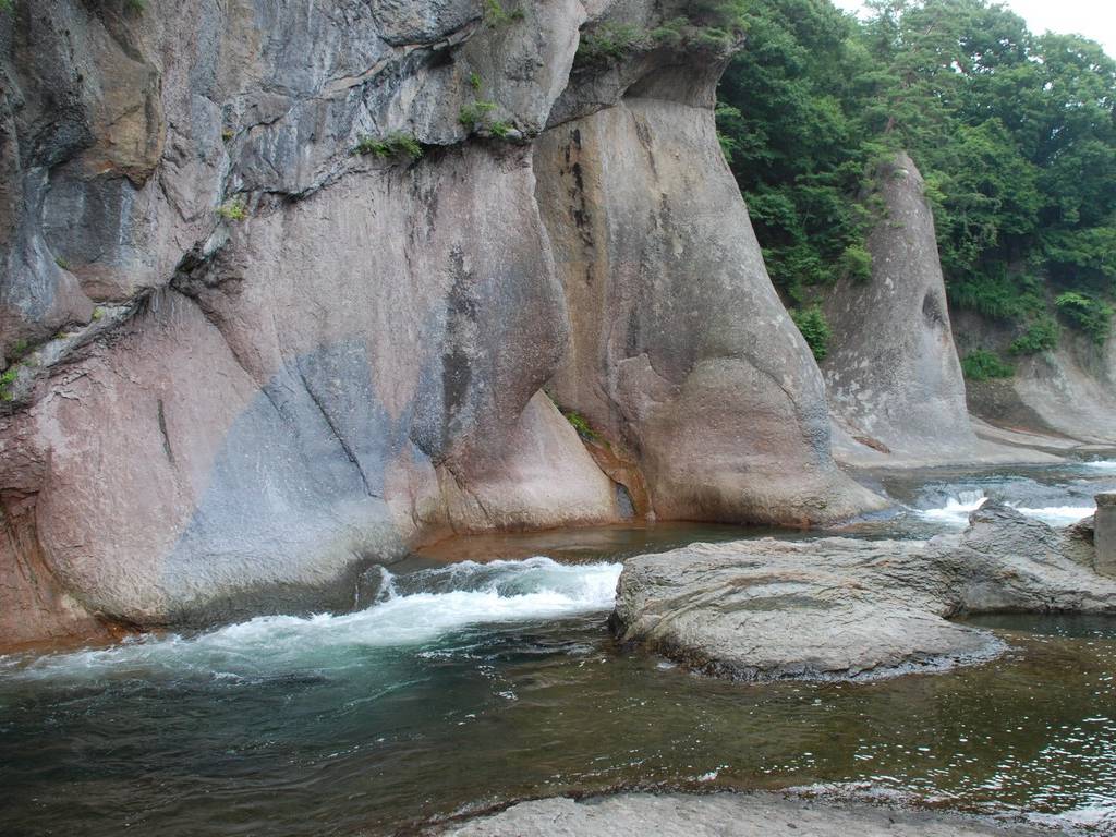 QnEЕiȆ - RE - ʐ^f - ݃{