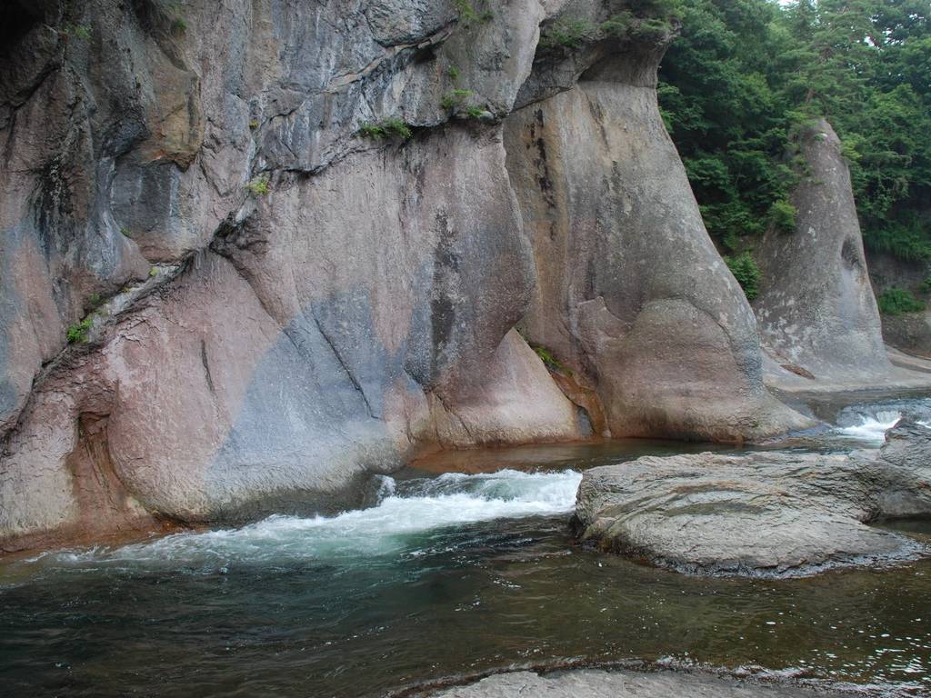 QnEЕiȆ - RE - ʐ^f - ݃{
