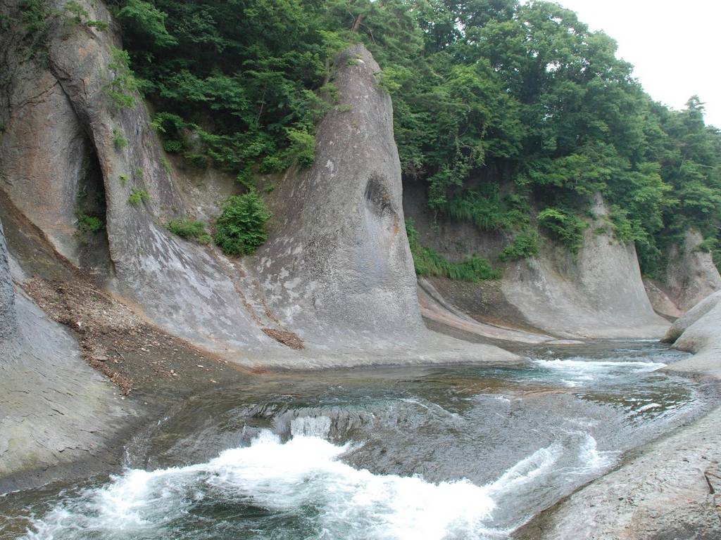 QnEЕiȆ - RE - ʐ^f - ݃{