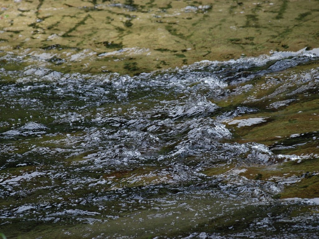 tE{VkJE{V - RE - ʐ^f - ݃{