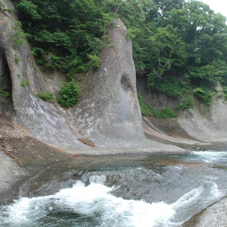 QnEЕiȆ - RE - ʐ^f - ݃{