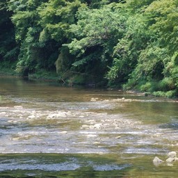 千葉県・老渓谷・養老川