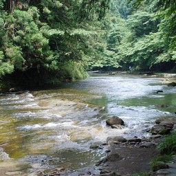 千葉県・老渓谷・養老川