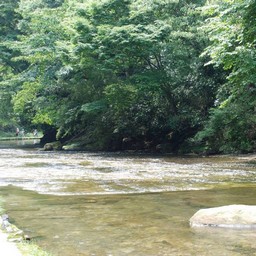 千葉県・老渓谷・養老川