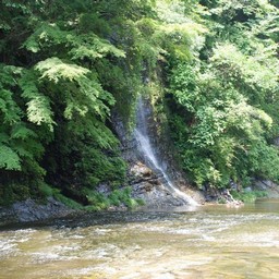 千葉県・老渓谷・養老川