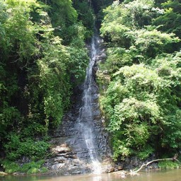 千葉県・老渓谷・養老川