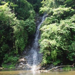千葉県・老渓谷・養老川