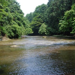 千葉県・老渓谷・養老川