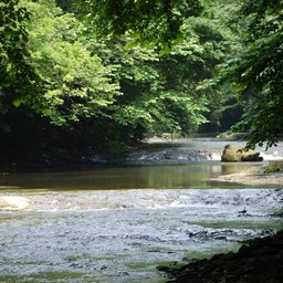 千葉県・老渓谷・養老川