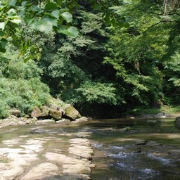 千葉県・老渓谷・養老川