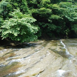 千葉県・老渓谷・養老川