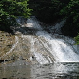 千葉県・老渓谷・養老川