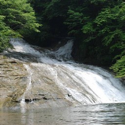 千葉県・老渓谷・養老川