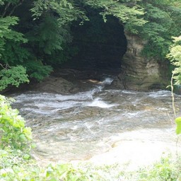 千葉県・老渓谷・養老川