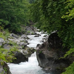 日光市・大谷川