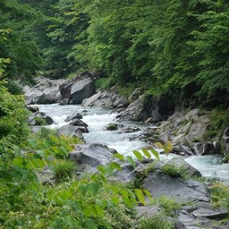 日光市・大谷川