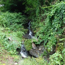 青梅市・多摩川