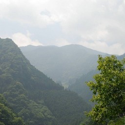 東京都奥多摩町・多摩川