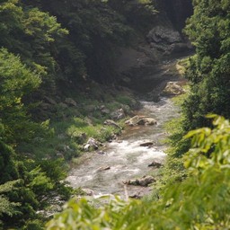 東京都奥多摩町・多摩川