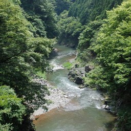 東京都奥多摩町・多摩川