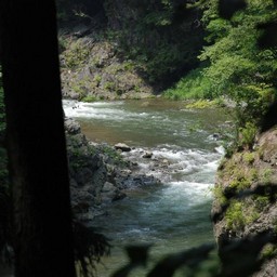 東京都奥多摩町・多摩川