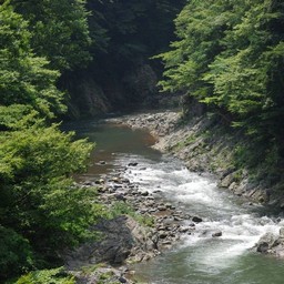 東京都奥多摩町・多摩川