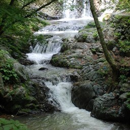 東京都奥多摩町・多摩川