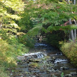 長野県軽井沢町
