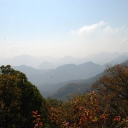 長野県軽井沢町