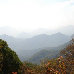 長野県軽井沢町
