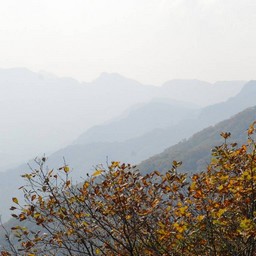長野県軽井沢町