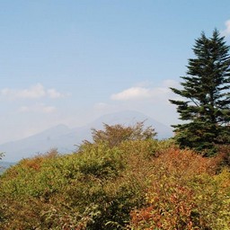 長野県軽井沢町