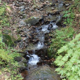 長野県軽井沢町