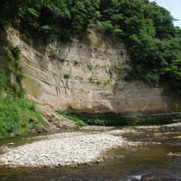 千葉県・養老渓谷・養老川