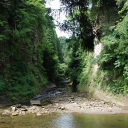 千葉県・養老渓谷・養老川