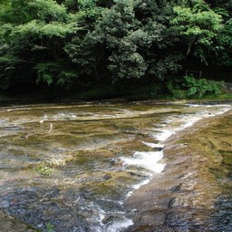 千葉県・養老渓谷・養老川