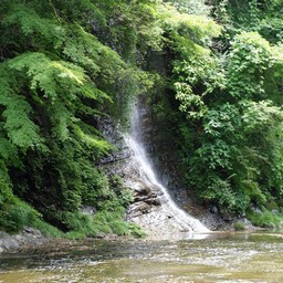 千葉県・養老渓谷・養老川