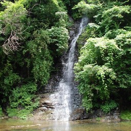 千葉県・養老渓谷・養老川