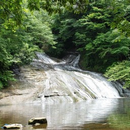 千葉県・養老渓谷・養老川