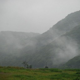 長野県小谷村・栂池高原