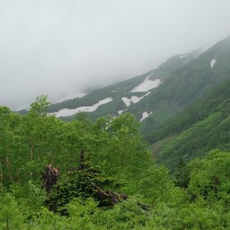 長野県小谷村・栂池高原