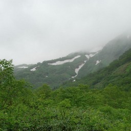 長野県小谷村・栂池高原