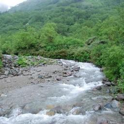 長野県小谷村・栂池高原