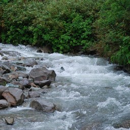 長野県小谷村・栂池高原