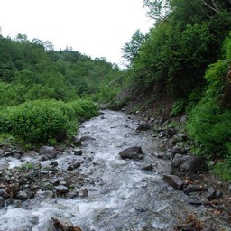 長野県小谷村・栂池高原