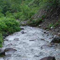 長野県小谷村・栂池高原