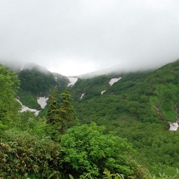 長野県小谷村・栂池高原