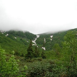 長野県小谷村・栂池高原