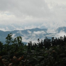 長野県小谷村・栂池高原