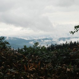 長野県小谷村・栂池高原